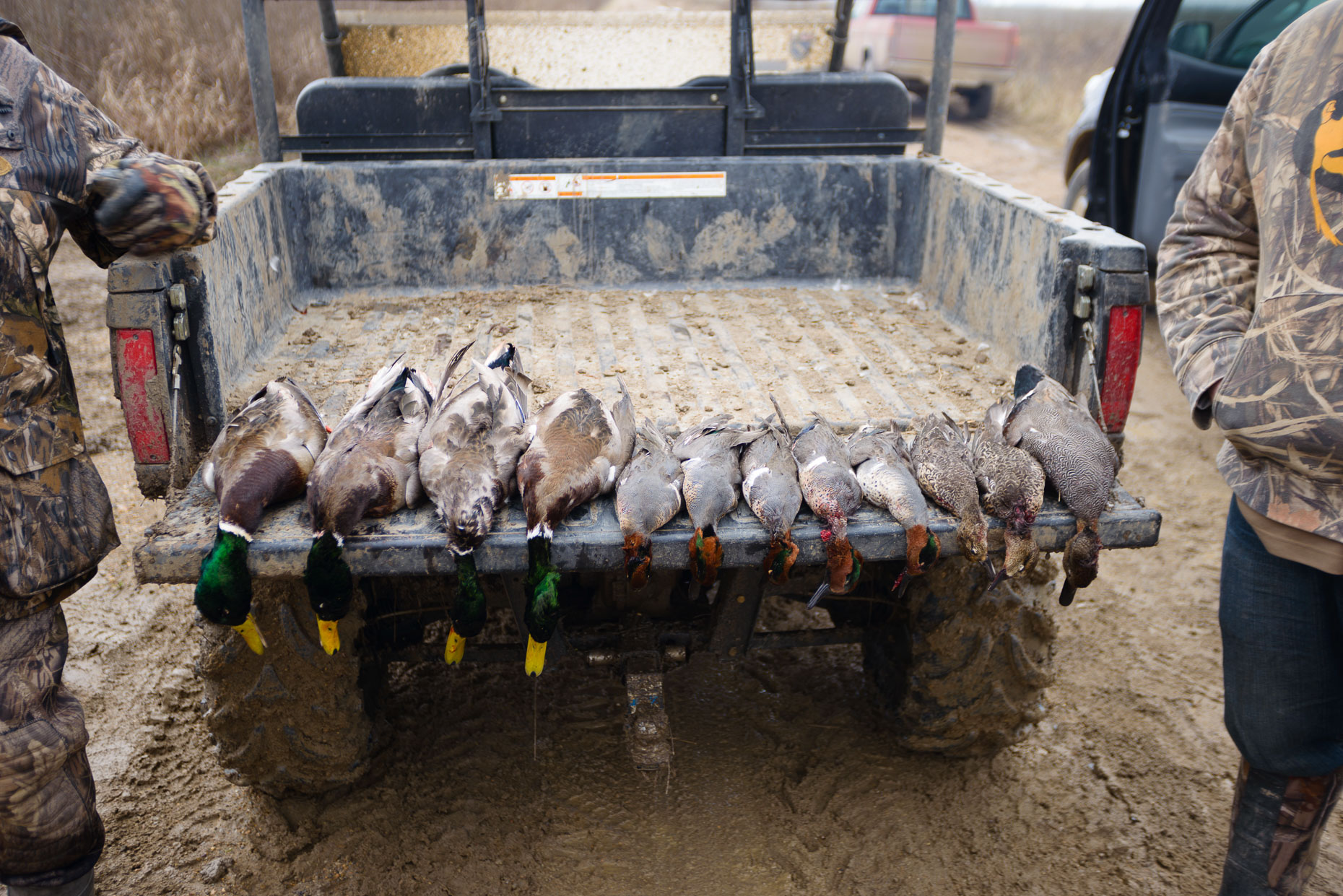 20150104 Duck Hunting 0131 
